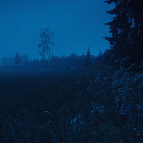silent rain