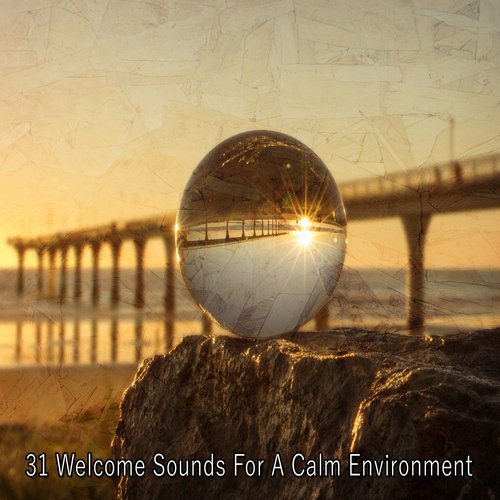 31 Welcome Sounds For A Calm Environment_poster_image