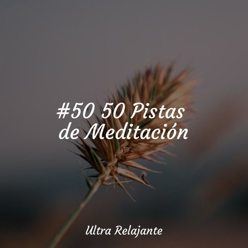 Melancolía Nocturna