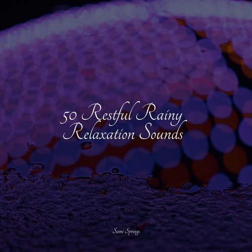 Soothing Ocean Sounds cover art