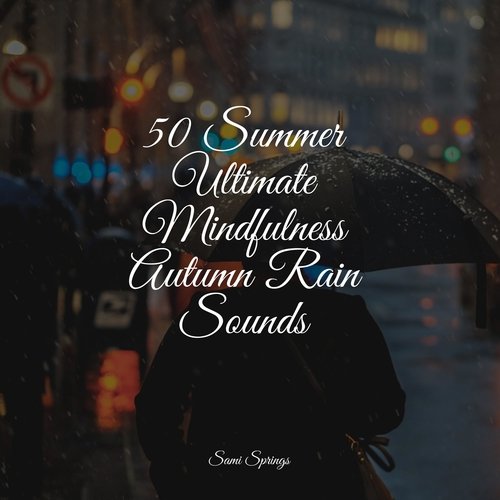 50 Summer Ultimate Mindfulness Autumn Rain Sounds_poster_image