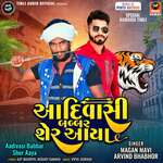 Aadivasi Babbar Sher Aaya