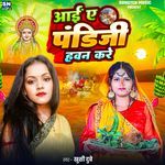 Aai Ye Pandiji Havan Kare