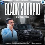 Black Scorpio Dj Remix artwork