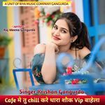 Cafe मे तु chill करे थारा शौक Vip बाहेला