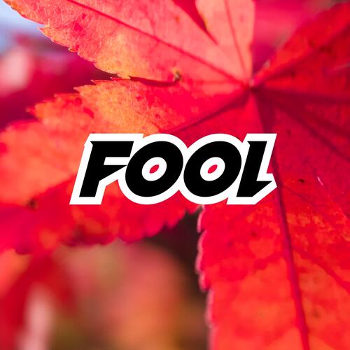 FOOL cover art