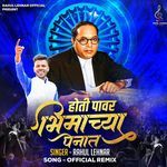 Hoti Power Bhimchya Penat Official Remix