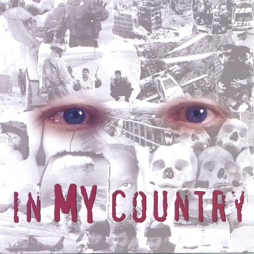 The Journalist cover art