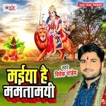 Sewaka Ghare Aawatari Maiya