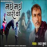 Nai Nai Yaari Vi artwork