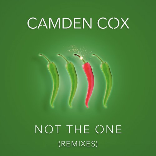 Not the One (Remixes)