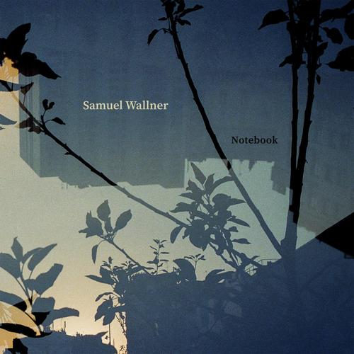 Social order cover art