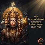 Om Panchamukhaya Hanumate Rudratmakaya Hum Phat
