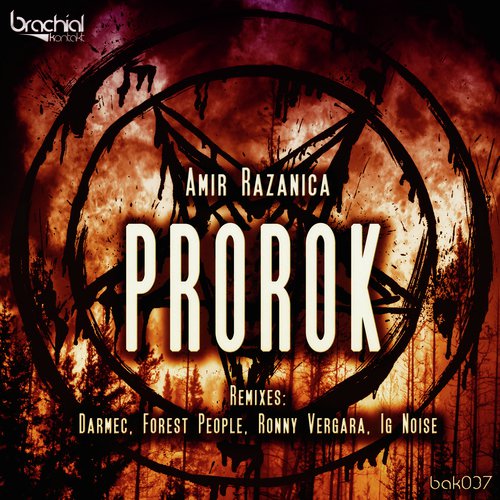 Prorok (Ronny Vergara Remix) cover art