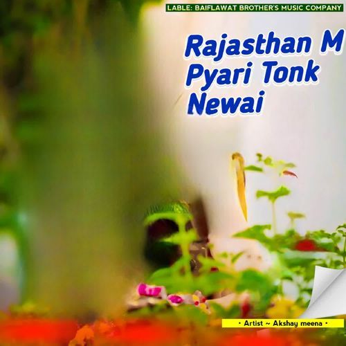 Rajasthan M Pyari Tonk Newai