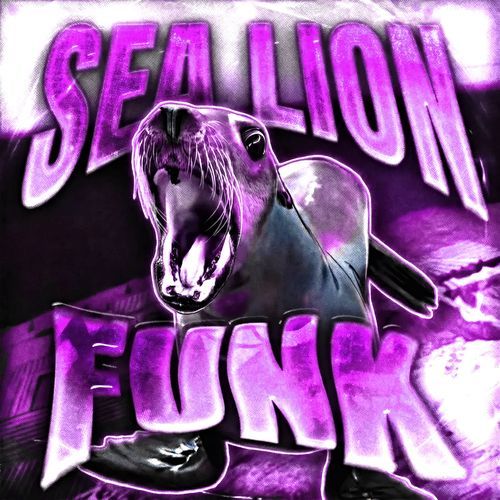 SEA LION FUNK