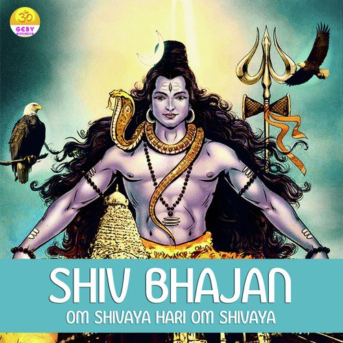 Shiv Bhajan (Om Shivaya Hari Om Shivaya) - Single_poster_image