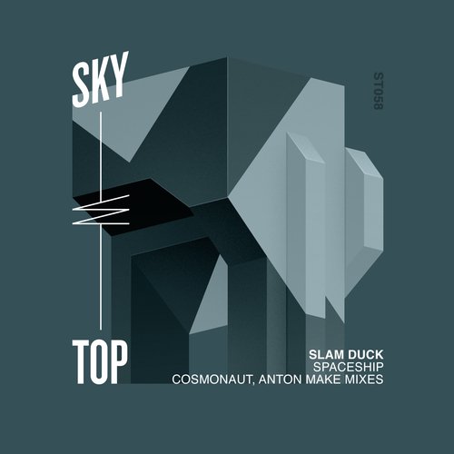 Spaceship (Cosmonaut Radio Edit) cover art