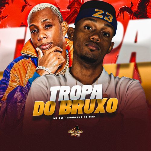 Tropa do Bruxo cover art