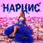 НАРЦИС