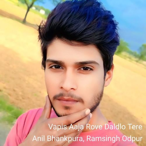 Vapis Aaja Rove Daldlo Tere