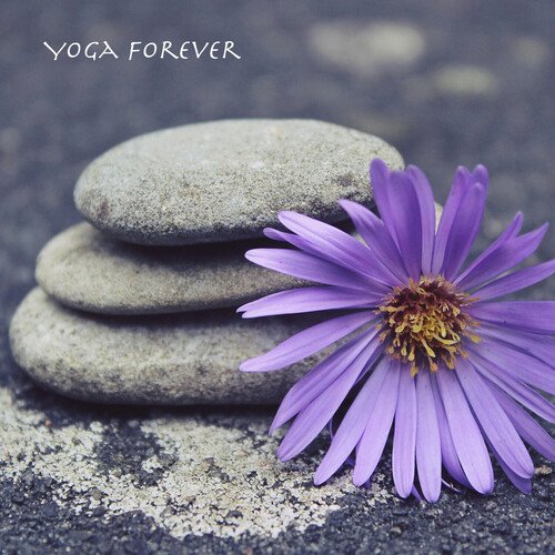 Yoga Forever