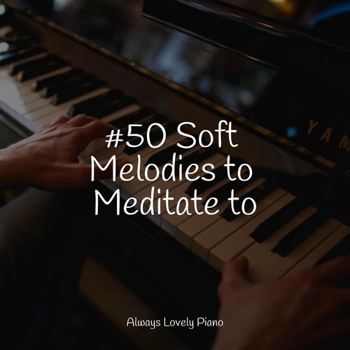 #50 Soft Melodies to Meditate to