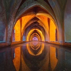 A Temple of Physical Pleasure