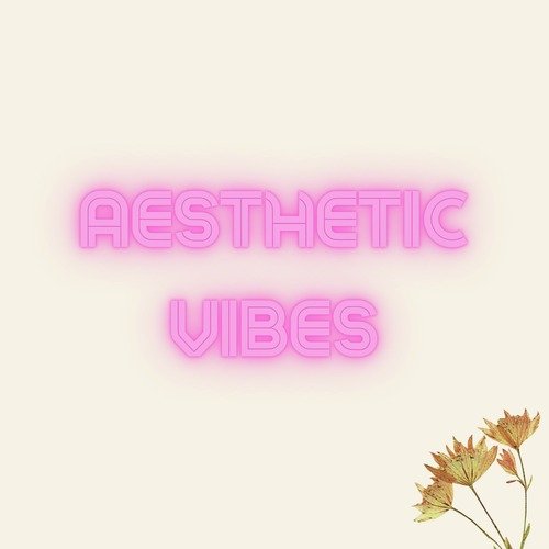 Aesthetic Vibes cover art