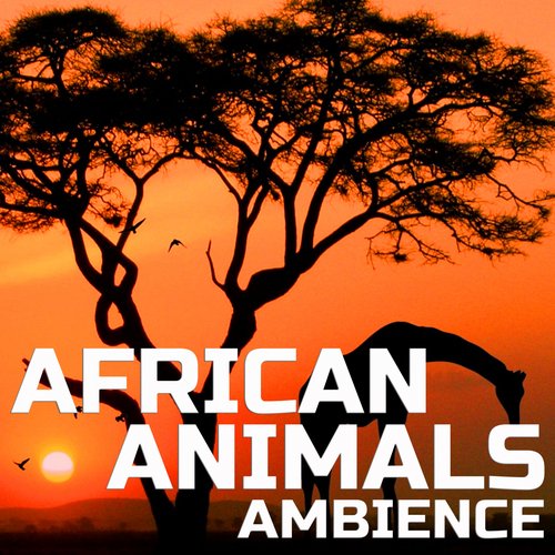 African Animals Sound Effects (FX Effects Remix) cover art