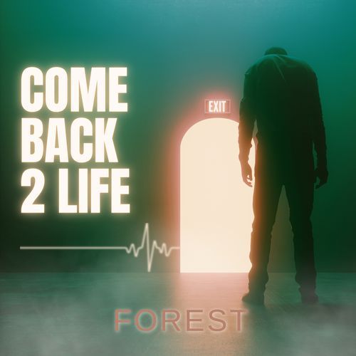 Coming Back to Life_poster_image