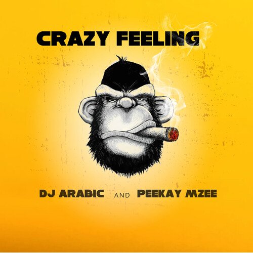 Crazy Feeling_poster_image