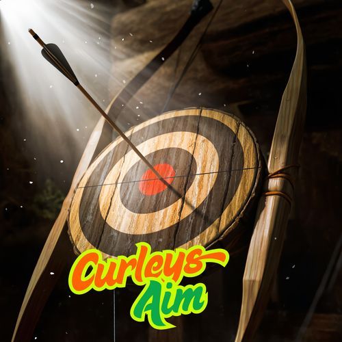 Curly's Aim cover art
