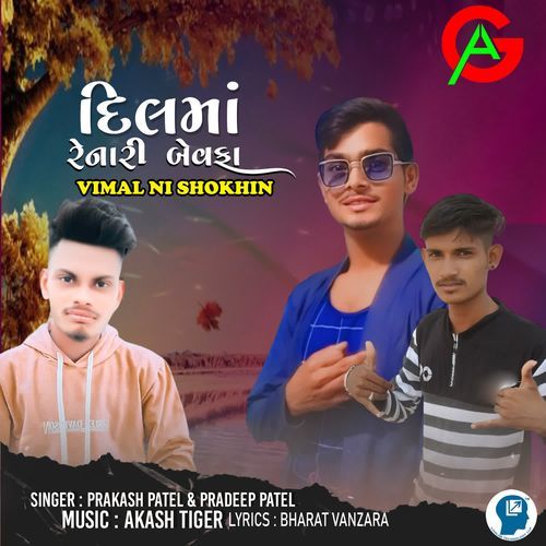 Dil Ma Renari Bewafa - Vimal Ni Shokhin