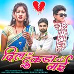 Dil Na Tukda Kari Gai