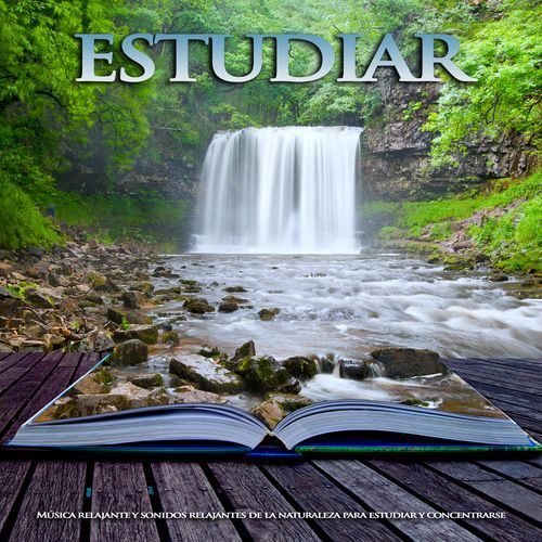 Musica pacifica cover art