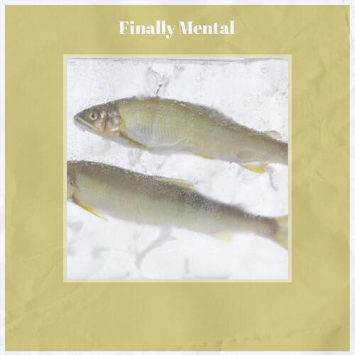 Finally Mental cover art