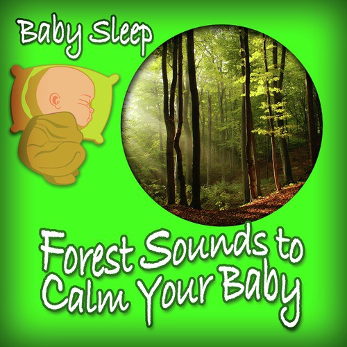 Forest Sounds to Calm Your Baby_poster_image