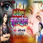 Ja Ae Bebafa Bhula Gaila