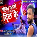 Jiyab kaise ye jaan bina dil ke