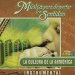 Amor Eterno (Instrumental)