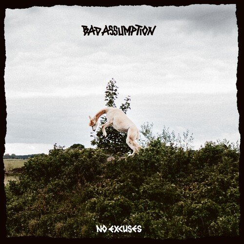 Nils cover art