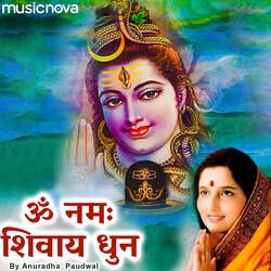 Om Namah Shivaya Har Har By Anuradha Paudwal-IgsCfARBeFk