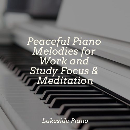 Peaceful Piano Melodies for Work and Study Focus & Meditation