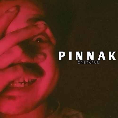 Pinnak cover art