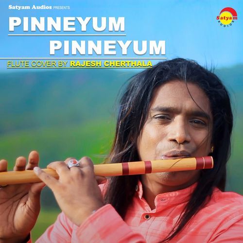 Pinneyum Pinneyum (Cover Version)_poster_image