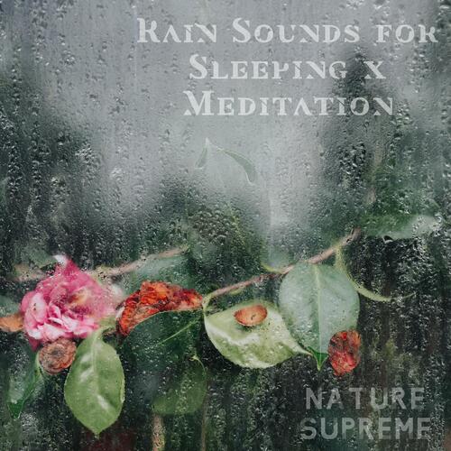 Rain Sounds for Sleeping x Meditation_poster_image