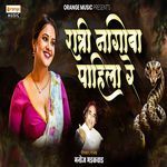 Ratri Nagoba Pahila Re