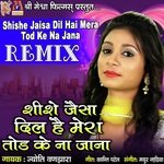 Shishe Jaisa Dil Hai Mera Tod Ke Na Jana Remix