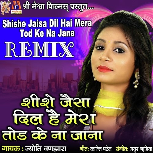 Shishe Jaisa Dil Hai Mera Tod Ke Na Jana Remix_poster_image